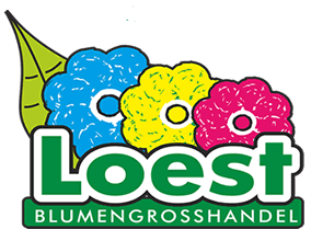 Logo Loest BGH
