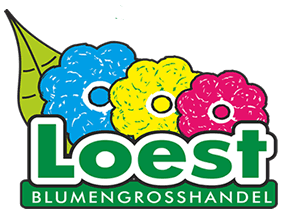 Loest Blumengrohandel