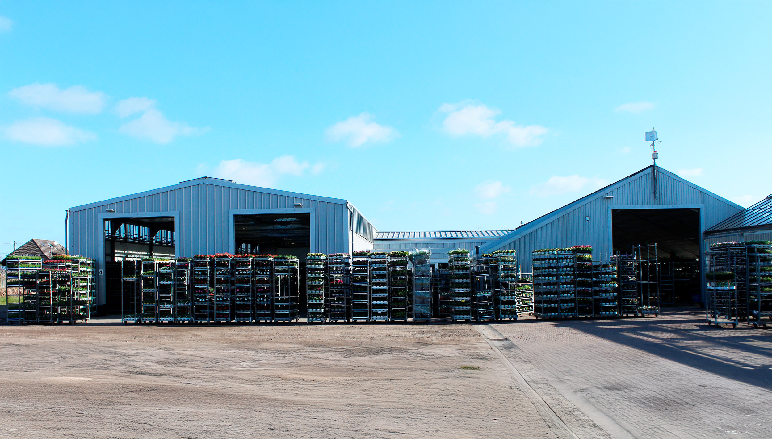 Blumen-Halle von Loest BGH